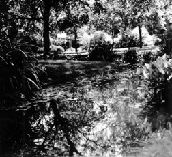 Botany Pond