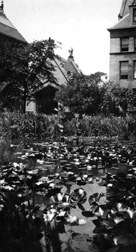 Botany Pond