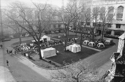 Campus Activities and Events